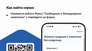 На портале «Госуслуги» можно уведомить о безнадзорном животном