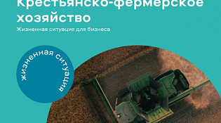 Развитие зернового бизнеса: цифровые решения для фермеров