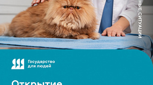 Открытие ветеринарной аптеки — все шаги в одном сервисе 
